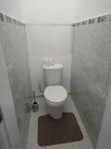 a small bathroom with a toilet and a shower at Apartments Theatre Shepkina 2 room in Sumy +6 photos