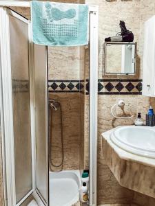 ein Bad mit einer Dusche und einem Waschbecken in der Unterkunft Estudio Inora in Granada