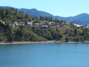 a large body of water with houses on a hill at FELICITA in Fužine