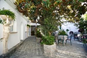 Zahrada ubytování Le Magnolia + 37 fotografií