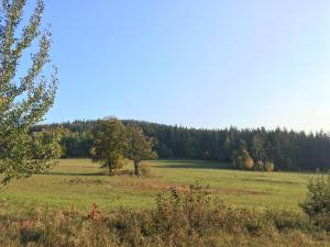 Příroda nedaleko apartmánu