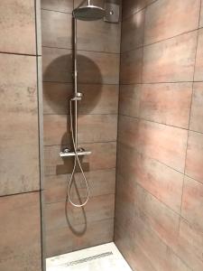 a shower with a shower head in a bathroom at B&B No. 42 in Valkenburg