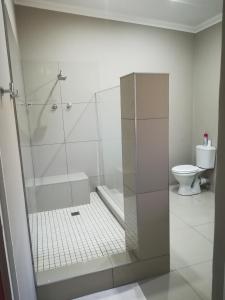 a bathroom with a shower and a toilet at Tranquil House B&B @ 121 Berry St in Queenstown