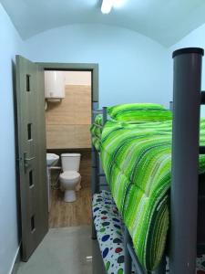 a bedroom with a bed with green sheets and a toilet at Regim Hotelier Pietonală in Oradea