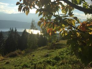 Mynd úr myndasafni af Reinwalds Almhütte í Millstatt