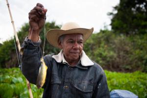 Hosté ubytování Pousada Rio Claro