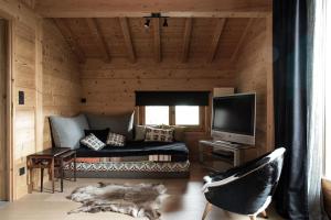 a living room with a couch and a television at Chalet 4M Les Carroz et son Spa in Les Carroz d'Araches