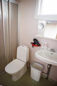 ein Badezimmer mit einem weißen WC und einem Waschbecken in der Unterkunft Hestaland Riverside Cottage in Staðarhús