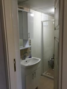 a bathroom with a sink and a shower at SAFRANGOLD PANSİYON in Safranbolu