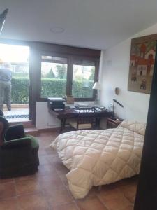 サラマンカにあるVillamercedes Estudio 4のベッドルーム1室(ベッド1台、デスク付)
