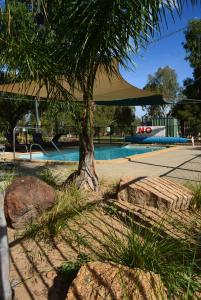 una piscina con una palmera y un edificio en Yarrawonga Riverlands Tourist Park, en Yarrawonga