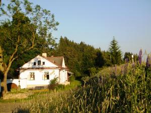 una pequeña casa blanca en un campo con flores en Rainmühle, en Mariánské Lázně