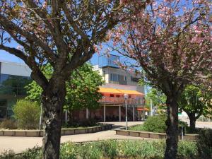 Zahrada ubytování Hotell Hulingen