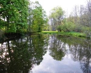 Ein Blick auf einen See in der Nähe des Ferienhauses