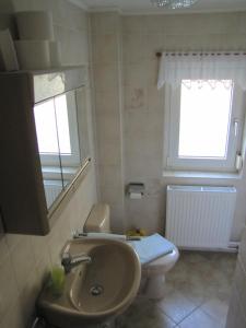 een badkamer met een wastafel, een toilet en een raam bij Ferienwohnung Schade in Hohnstein