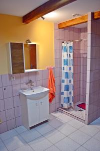 y baño con lavabo y ducha. en Chata u Borysa, en Białowieża
