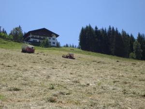 Příroda nedaleko penzionu – hostince