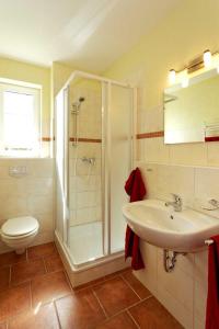 a bathroom with a shower and a sink and a toilet at Haus Clara Wohnung 1 in Ostseebad Koserow