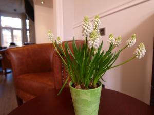 un jarrón verde con flores sobre una mesa en Hotel Clemens, en Ámsterdam
