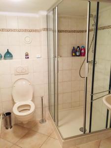 een badkamer met een douche, een toilet en een wastafel bij Bed & Breakfast 'Het Oude Nest' in Kessel