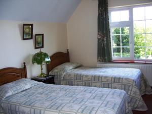 a bedroom with two beds and a window at Meadowfield in Ballyvaughan