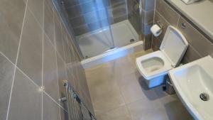 Un baño pequeño con inodoro y lavabo. en Quay Apartments Clarence House, en Newport 51 fotos más