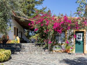 a house with pink flowers on the front of it at Monte Velho Country House in Montargil