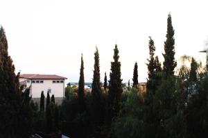 a group of trees in front of a white building at Olosuites in Limassol