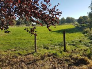 Zahrada ubytování De Goeferdij vakantiewoning