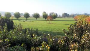 Gallery image of Klein Cambron in Hulst +9 photos