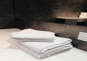Fotografia z galérie ubytovania Apartament nad Wisłą v Krakove + 37 fotografií