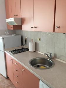 Kuchyň nebo kuchyňský kout v ubytování Studio apartman Lara ***