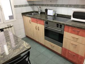 uma cozinha com um lavatório e um fogão em Puerta Del Carmen em Zaragoza