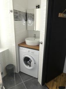 een badkamer met een wasmachine en een wastafel bij Agréable appartement à CAMBO LES BAINS in Cambo-les-Bains