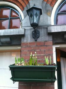 a vase filled with flowers sitting on a brick wall at Hotel Clemens in Amsterdam