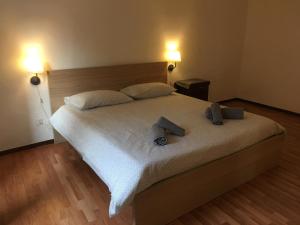 Voodi või voodid majutusasutuse Albergo Ristorante Belcantone toas