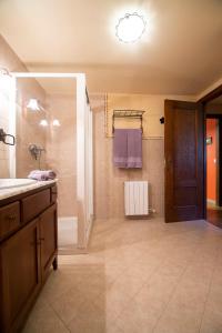 a bathroom with a sink and a shower and a sink at Inmocyma Abetal grandes vistas, con piscina-Linsoles- Benasque in Benasque