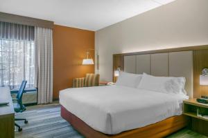 Habitación de hotel con cama grande y escritorio. en Holiday Inn Express Mount Arlington, an IHG Hotel, en Mount Arlington