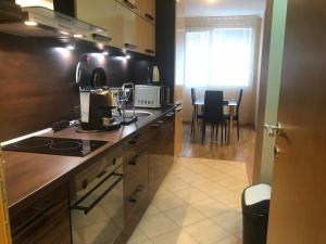 Cuina o zona de cuina de Rakovski Apartment GN / FREE GARAGE