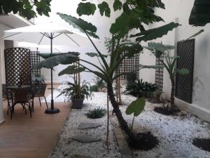Gallery image of Studio Posh with garden in Kolonaki in Athens