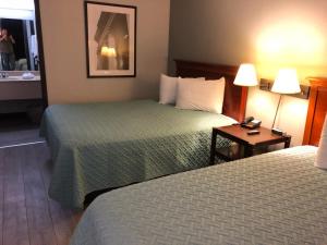 Postel nebo postele na pokoji v ubytování Springfield Inn TN