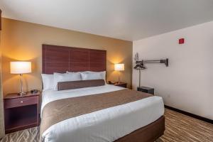 Voodi või voodid majutusasutuse Cobblestone Hotel & Suites - Stevens Point toas