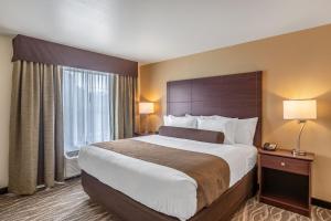 Voodi või voodid majutusasutuse Cobblestone Hotel & Suites - Stevens Point toas