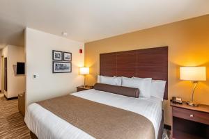 Voodi või voodid majutusasutuse Cobblestone Hotel & Suites - Stevens Point toas