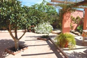 a courtyard with a tree and some plants at Il Mirto E La Rosa in Arenella
