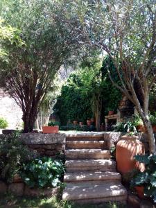 un jardín con un conjunto de escaleras y árboles en Casa Rural Donatila, en Villasbuenas de Gata