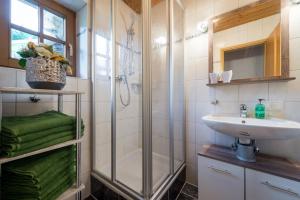 ein Bad mit einer Dusche und einem Waschbecken in der Unterkunft Ninas Residenzerl in Kolsassberg