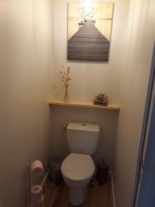Liesville-sur-DouveにあるGîte " Le Vieux Noyer"のバスルーム(壁に絵が描かれたトイレ付)