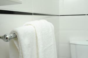 una toalla colgada en un toallero en el baño en Vine Rooms en Oradea