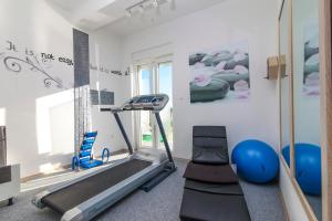 Fitness centrum a/nebo fitness zařízení v ubytování Holiday home Villa Anny